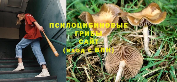 метадон Заволжск