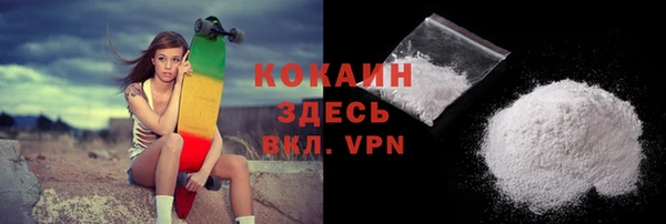 ГАЛЛЮЦИНОГЕННЫЕ ГРИБЫ Заводоуковск
