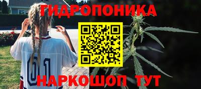 прущие грибы Пенза