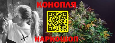 прущие грибы Пенза
