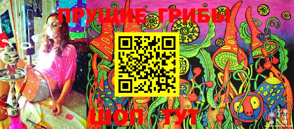 Псилоцибиновые грибы Cubensis Россия